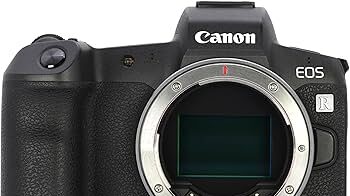 【徹底比較】Canon EOS RとEOS RPの違いとおすすめ使用シーン｜フルサイズミラーレスを選ぶポイント